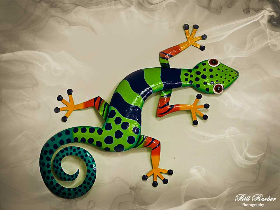Gecko-on-Rum-Shop-Wall-spe-web.jpg